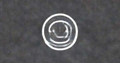 Which Of The Following Describes Chapatti