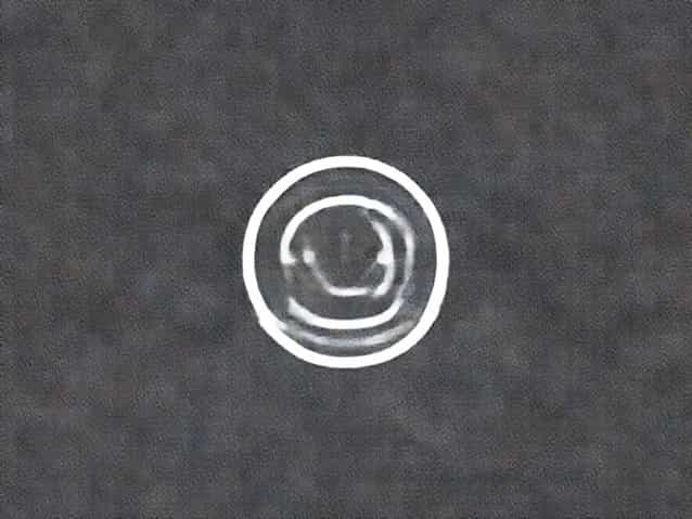 Which Of The Following Describes Chapatti