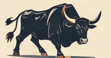 Why Is The Bull Killed After A Bullfight