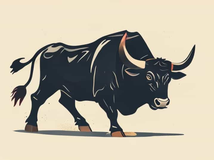 Why Is The Bull Killed After A Bullfight