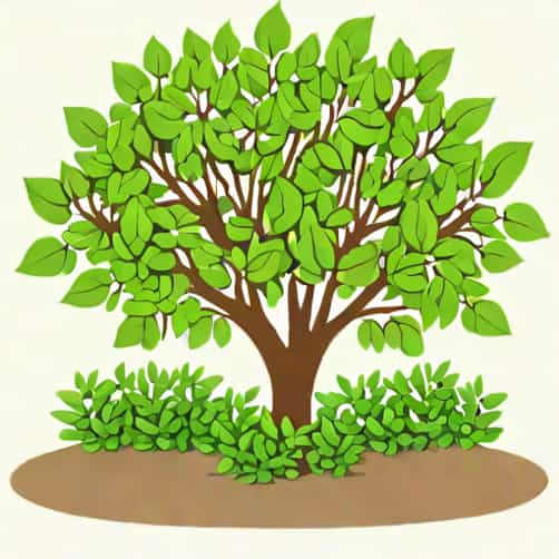 Best Fertilizer For Privet Hedge