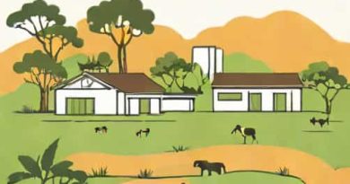 Build It Mega Zululand Empangeni