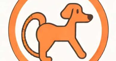 Can Humans Get Hookworm From Dogs