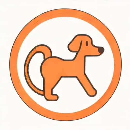 Can Humans Get Hookworm From Dogs