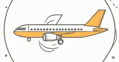 Can I Add Past Flights To Flighty