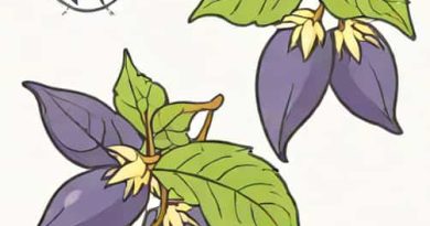 Deadly Nightshade 7 Little Words