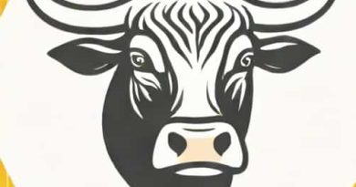 Difference Between Bull And Steer