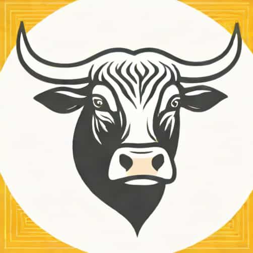 Difference Between Bull And Steer