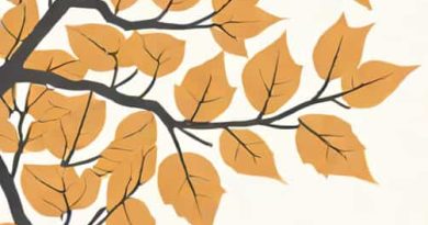 Does Privet Lose Leaves In Winter