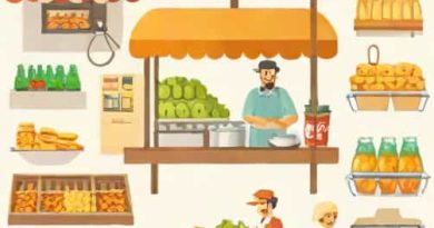 Drogheria Sellers Private Limited