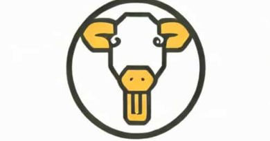 Everything But The Baa Answer Key