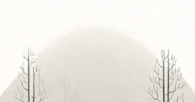 Fog Is Transparent Or Translucent