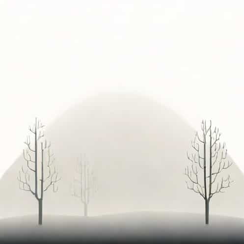 Fog Is Transparent Or Translucent