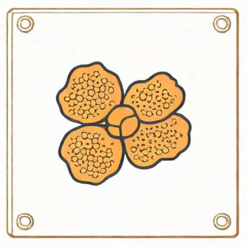 Genital Warts Causative Organism