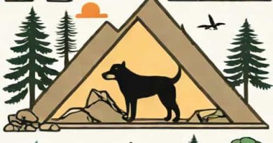 Hangdog Outdoor Adventure Reviews