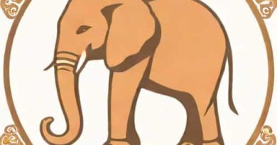 How Can You Prevent Elephantiasis