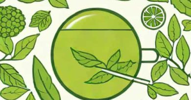 How Much Antioxidant In Green Tea
