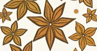 Is Star Anise The Same As Aniseed