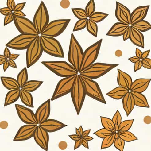 Is Star Anise The Same As Aniseed