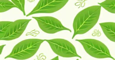 Jasmine Leaf Curl Causal Organism