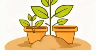 Keep Seedlings From Getting Leggy