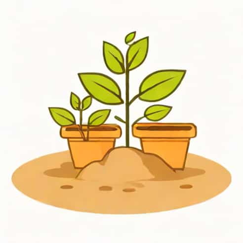 Keep Seedlings From Getting Leggy