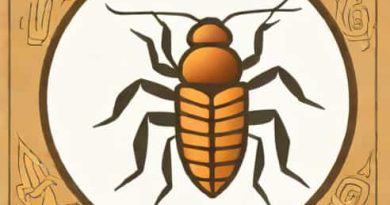 Kitchen Hunter Anti Cockroach Gel