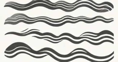 Konstantin Meyl Scalar Waves Pdf