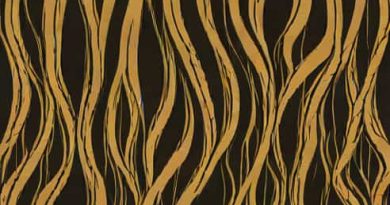 Lace Weft Clip In Hair Extensions