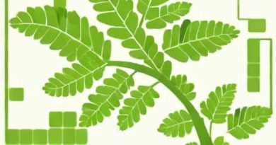 Large Coarse Fern Crossword Clue
