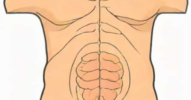 Layers Of Abdominal Wall Mnemonic