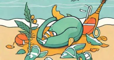 Lorcana Flotsam And Jetsam Promo