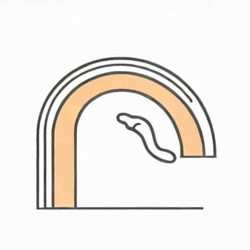 Medial Longitudinal Arch Of Foot