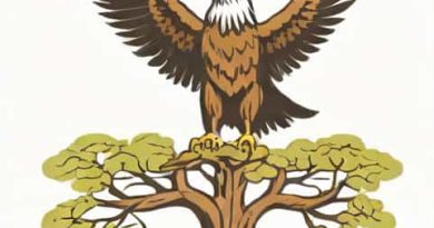 Name Of Eagle On Top Of Yggdrasil