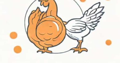 Necrotic Enteritis In Poultry Ppt
