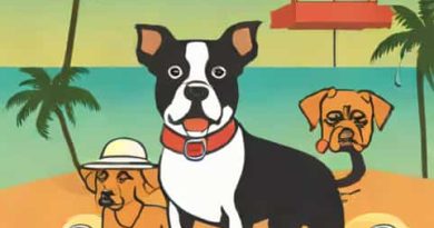 New Mad Dogs And Englishmen Tampa