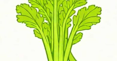Nutritional Value Of Celery Stalk