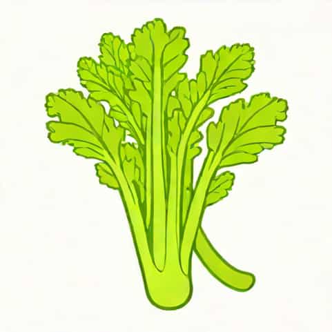 Nutritional Value Of Celery Stalk