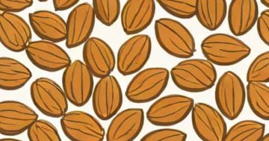 Pro V Select Californian Almonds