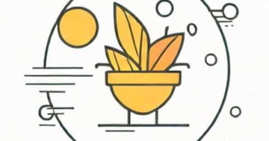 Quant Mid Cap Fund Regular Growth