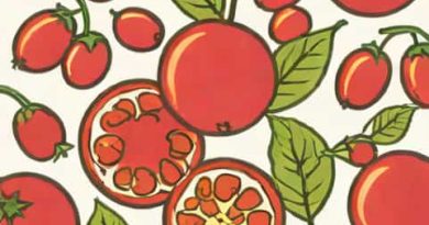 Romand Juicy Lasting Tint Jujube