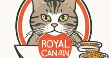 Royal Canin Hairball Wet Cat Food