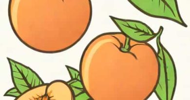 Self Unfruitful Cultivar Of Peach