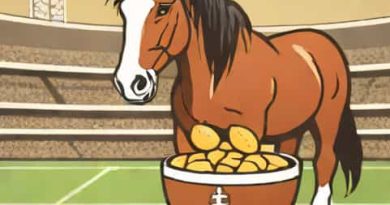 Super Bowl Clydesdale Commercial