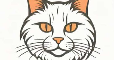 The Best Hairball Remedy For Cats