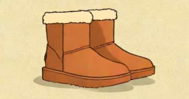 Ugg Ultra Mini Platform Chestnut