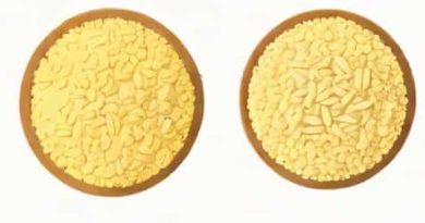 Unbleached Versus Bleached Flour