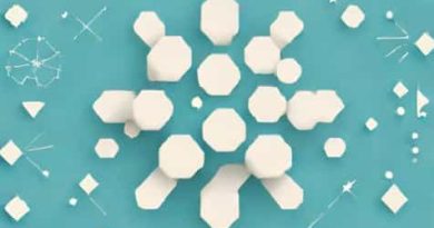 Using Borax To Crystallize Things