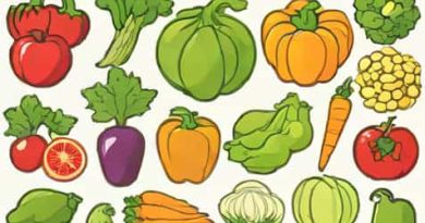 Vegetable Servings Per Day Canada