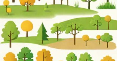 Visual Heterogeneity Forest Plot